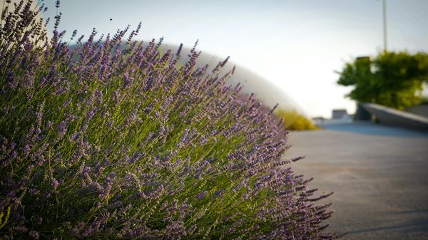 Comment créer un espace de vie minimaliste et moderne ?